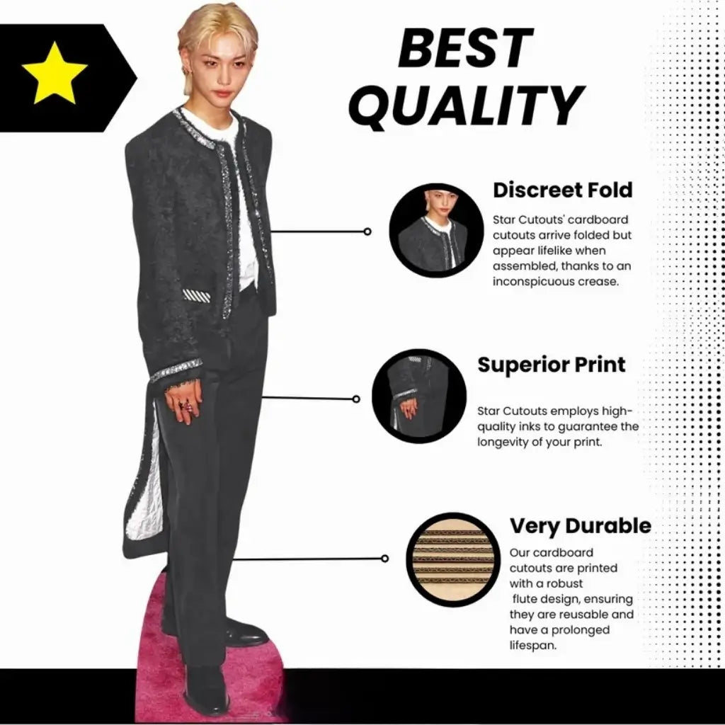 Felix Stray Kids K-pop party and photo booth cardboard prop