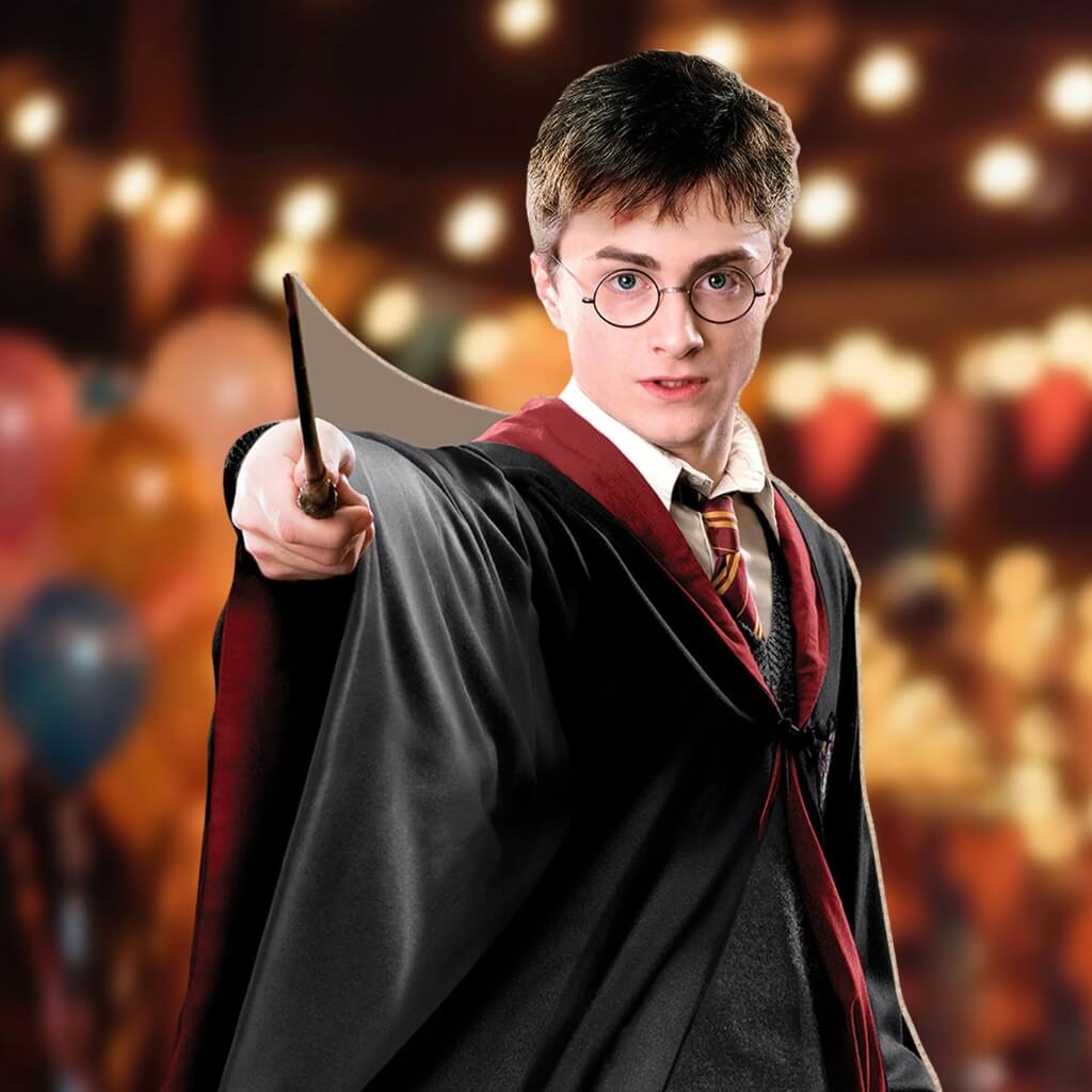 Harry Potter Quidditch Captain Cardboard Cutout