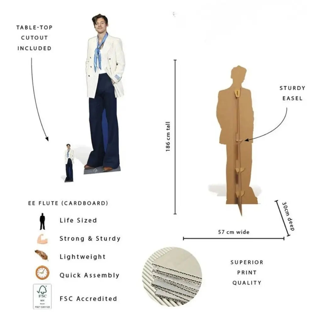 Harry Styles 186cm celebrity lifesize cardboard cutout