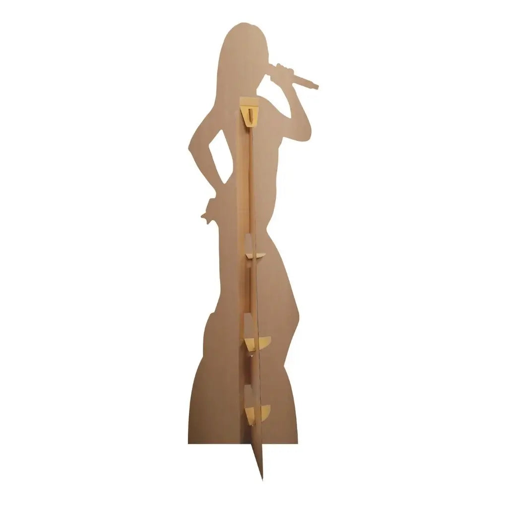 Music themed Taylor Swift photo prop back