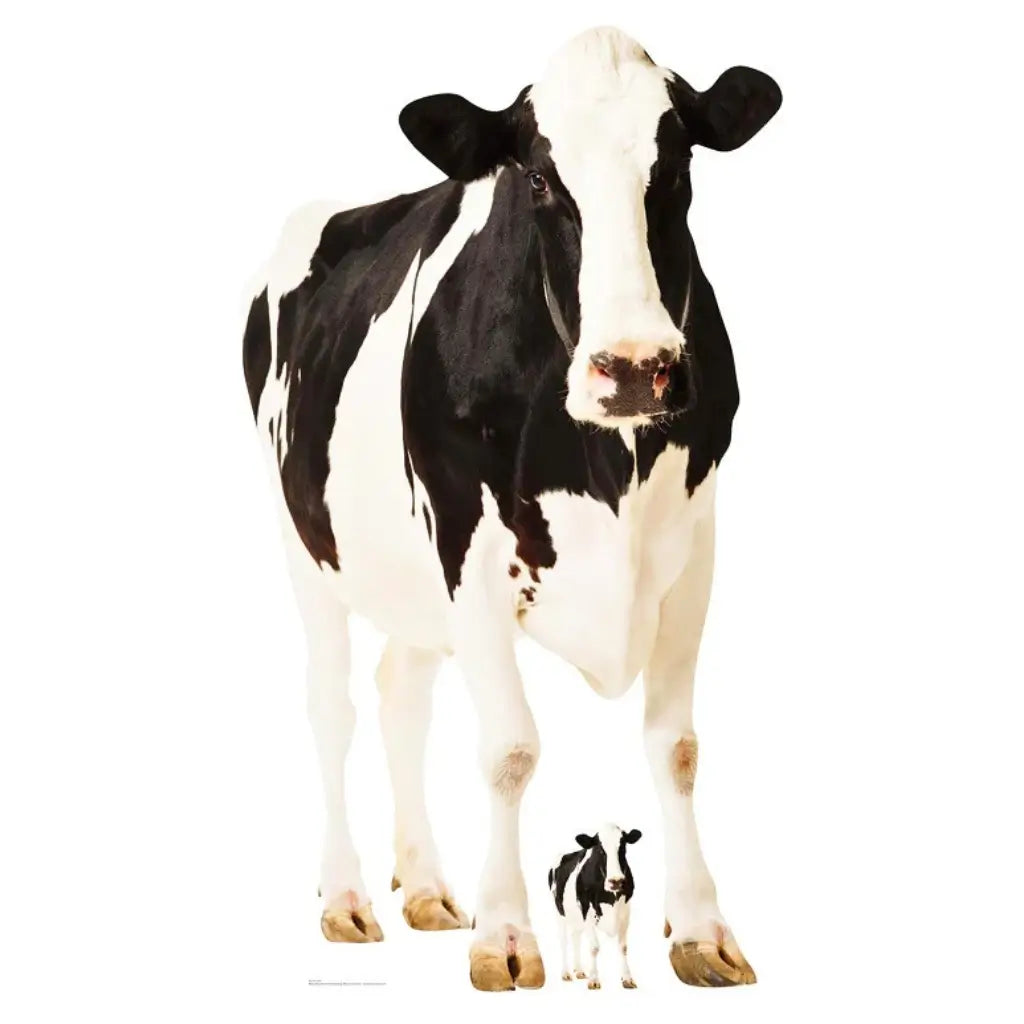 Life Size Cow Cardboard Cutout