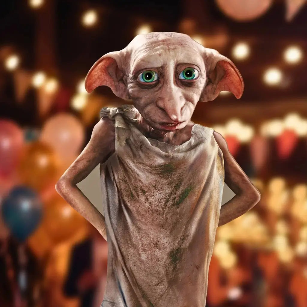 Dobby Harry Potter Star Mini Cardboard Cutout