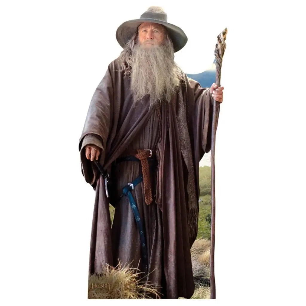 Gandalf Grey The Lord of the Rings lifesize cardboard cutout 191cm