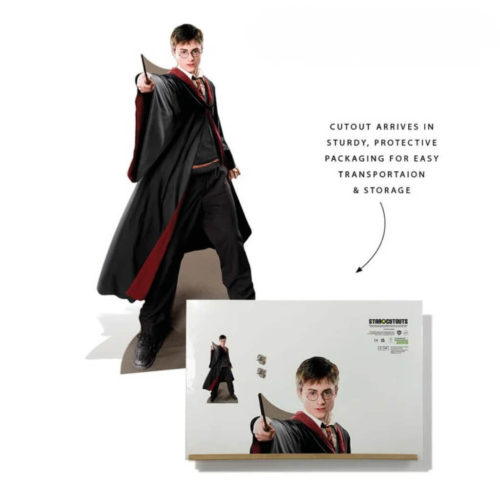 Harry Potter Quidditch Captain Cardboard Cutout