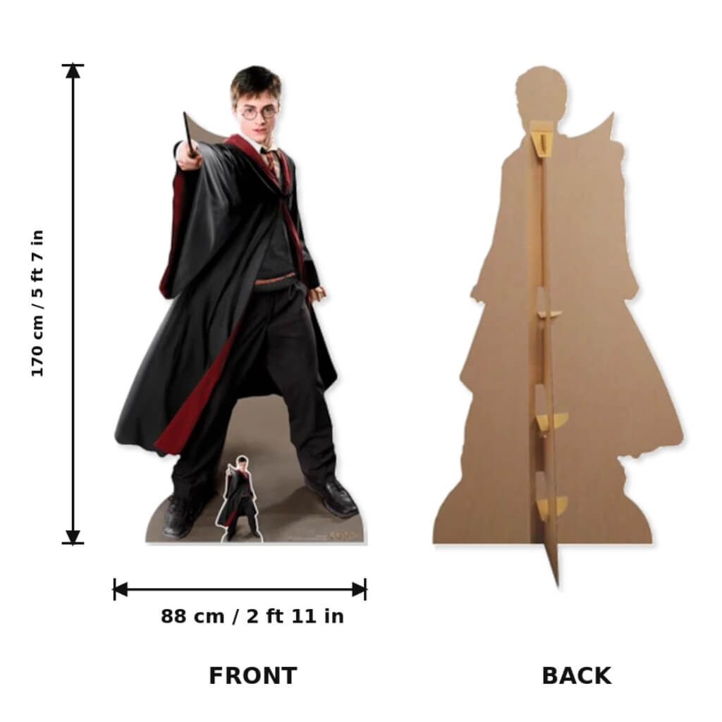 Harry Potter Quidditch Captain Cardboard Cutout