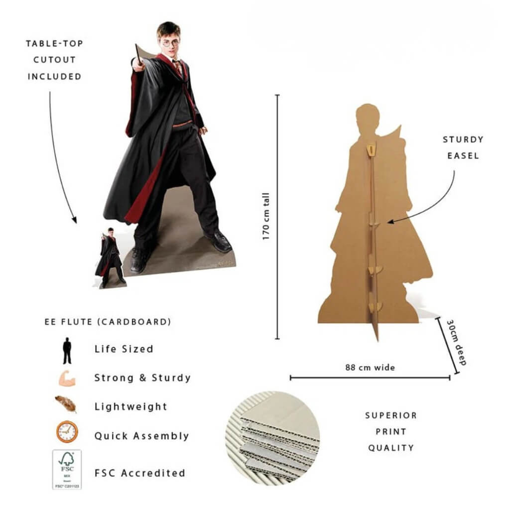 Harry Potter Quidditch Captain Cardboard Cutout