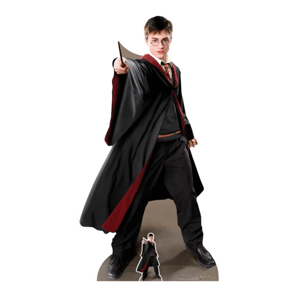 Harry Potter Quidditch Captain Cardboard Cutout