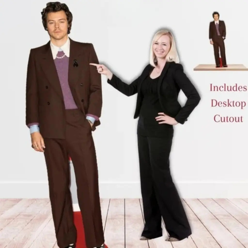 Harry Styles cardboard photo prop for music and birthday parties