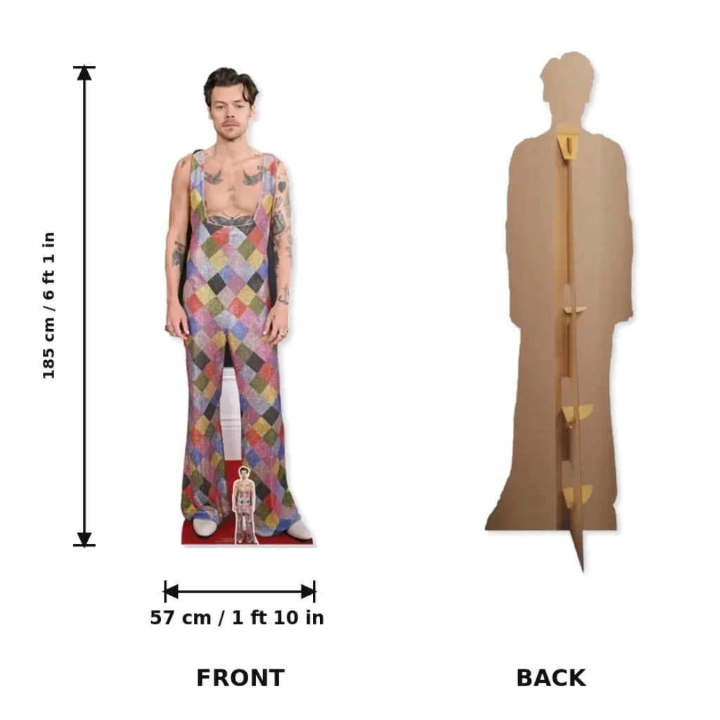Harry Styles celebrity lifesize cardboard cutout for fans and events