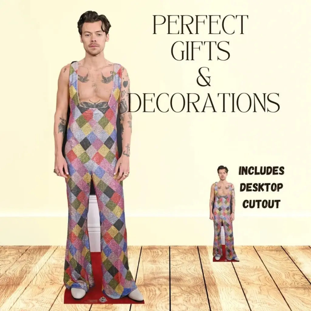 Harry Styles cardboard photo prop for music and concert parties