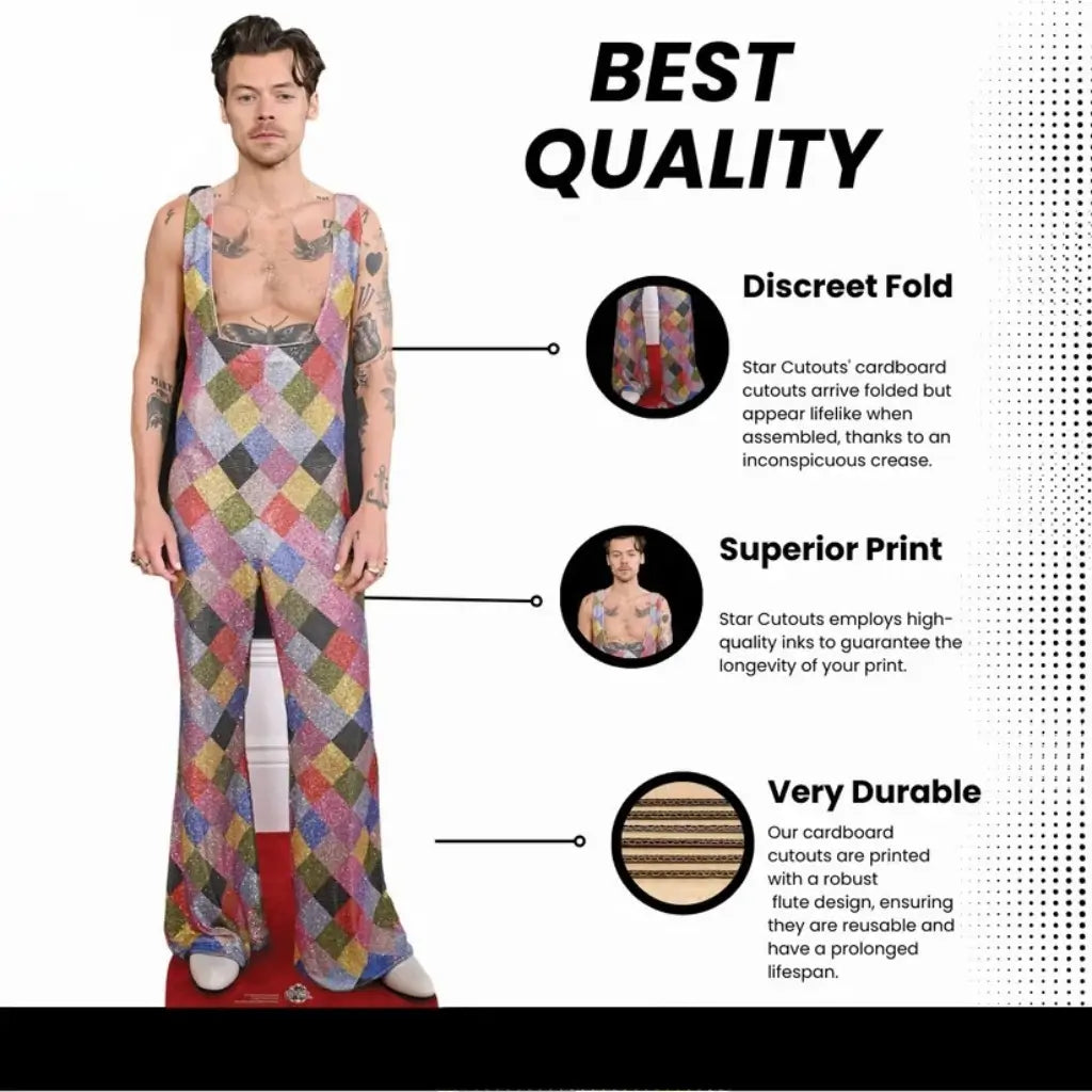 Harry Styles pop star cardboard standee for birthday parties