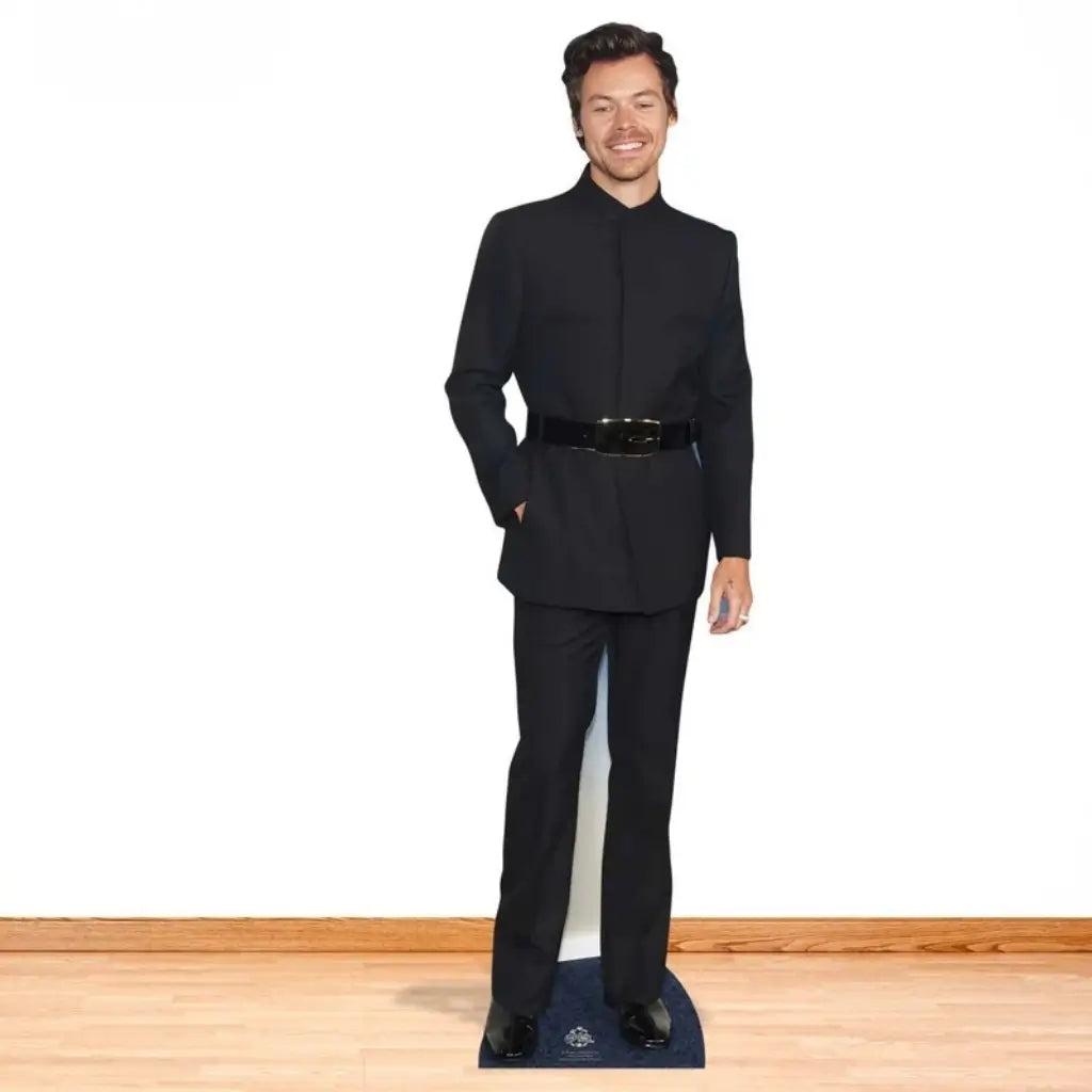 Harry Styles cardboard photo prop for pop star and music parties