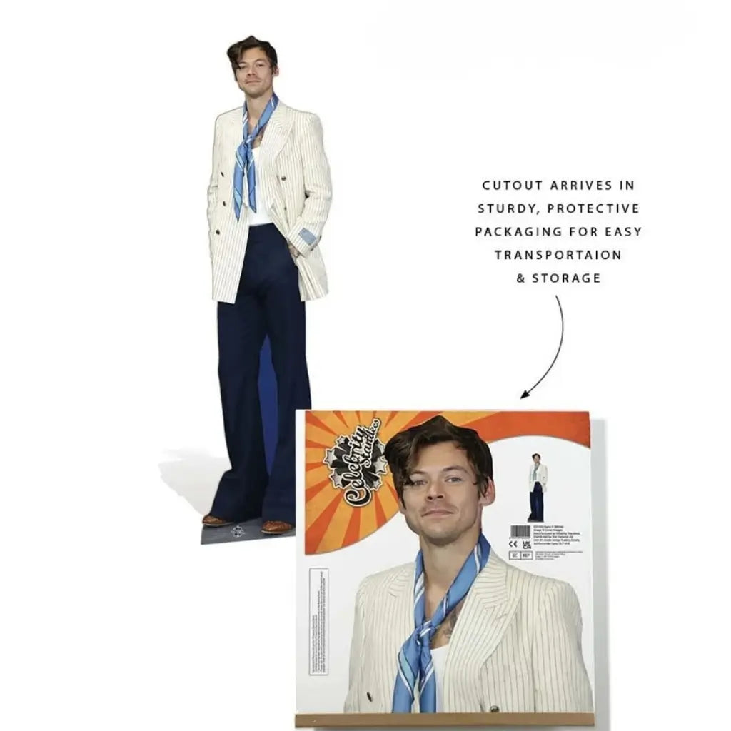 Harry Styles cardboard photo prop for birthday and music parties