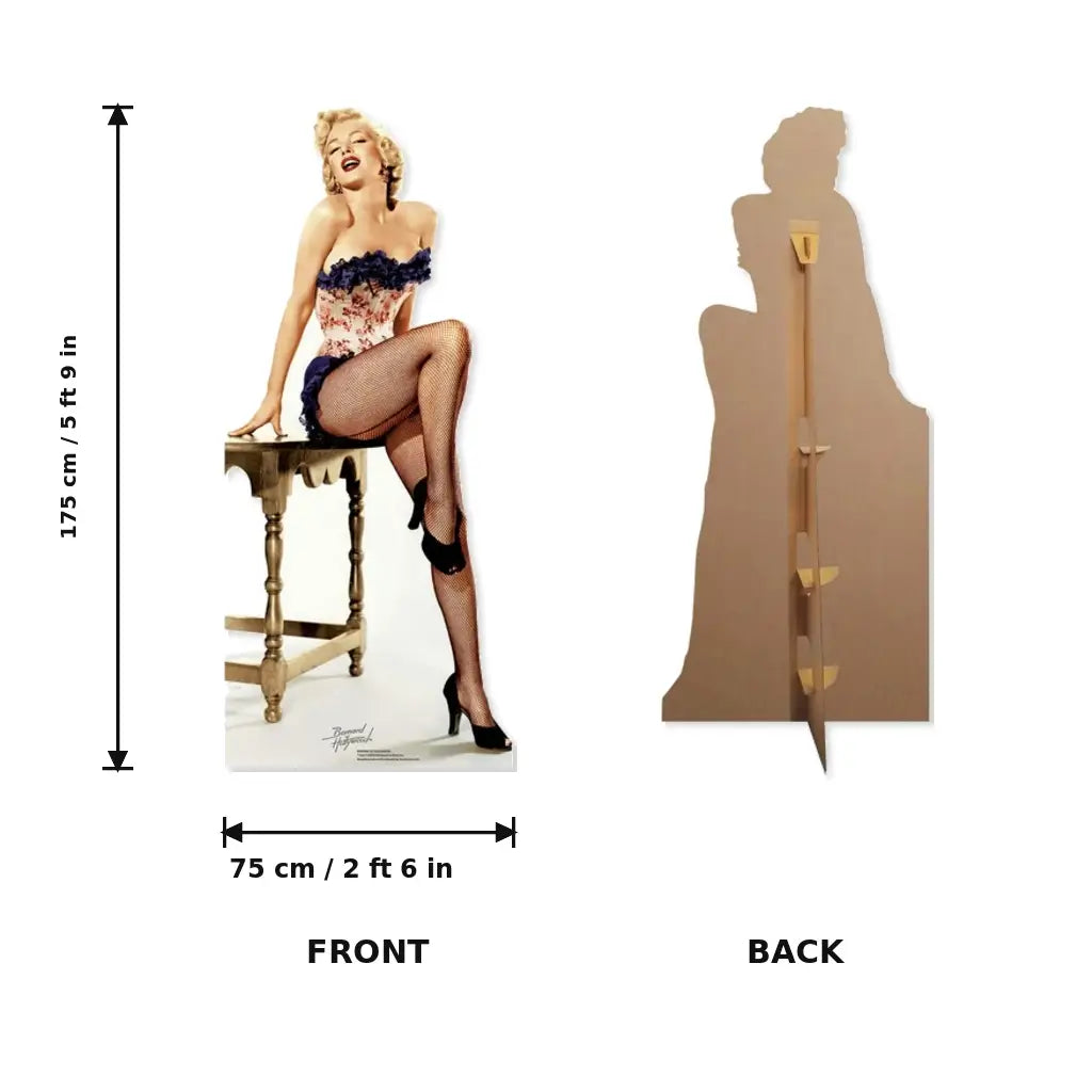 Marilyn Monroe net stockings cutout for Hollywood themed parties size