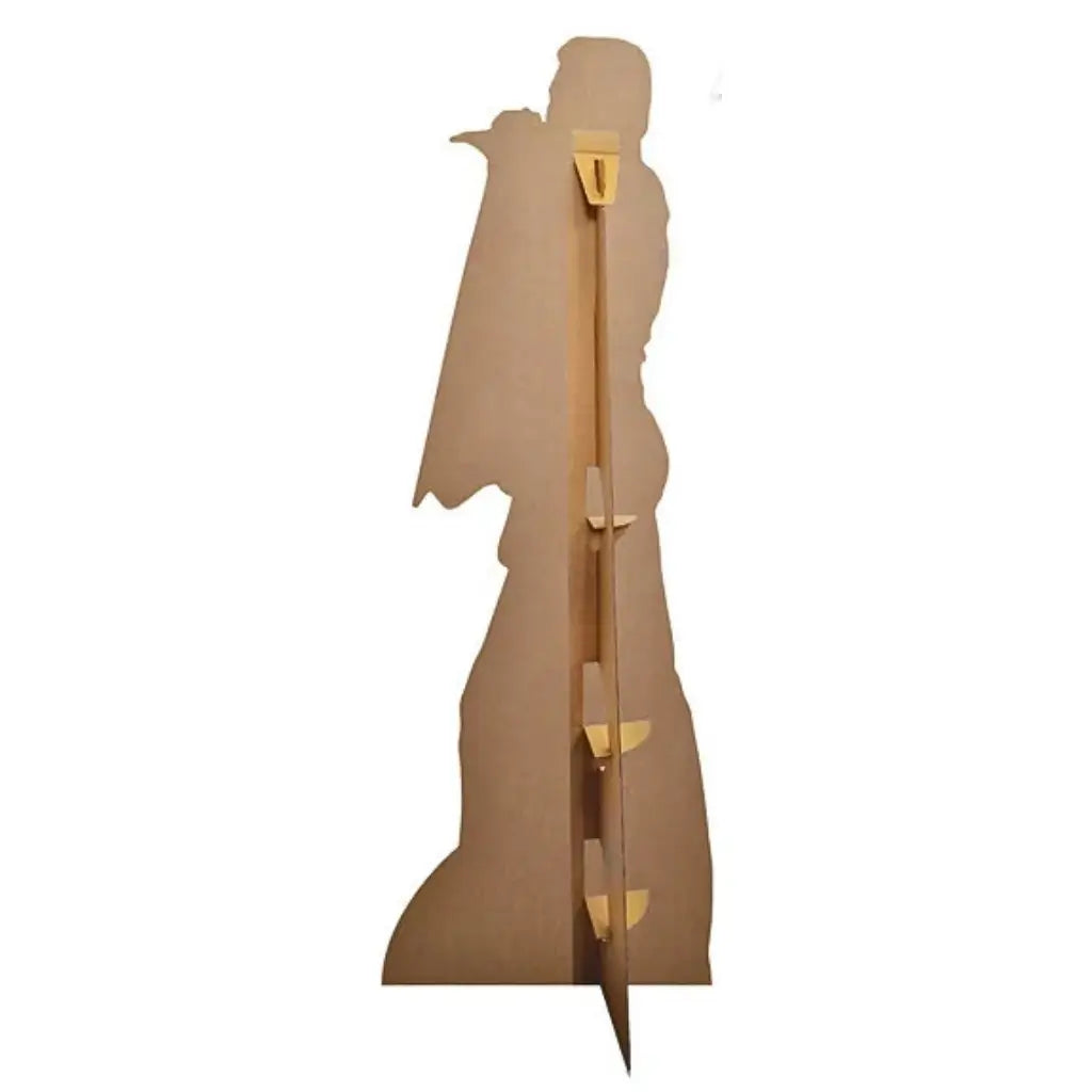 Rock music Freddie Mercury cardboard display back