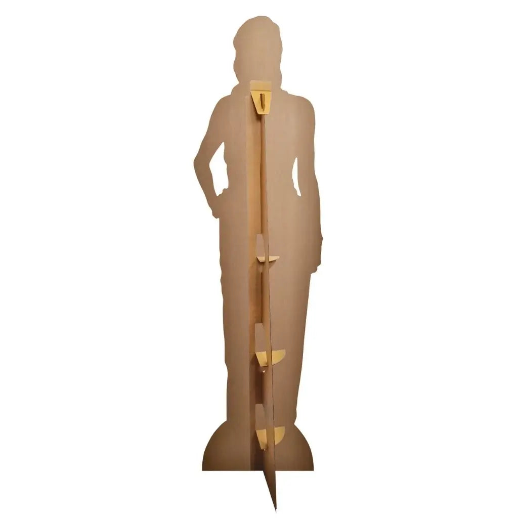 Pop star Taylor Swift cardboard display back